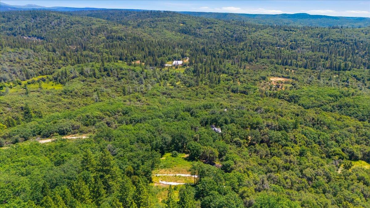 20154 Sky Ridge Place Nevada City, CA 95959 - Photo 10 of 20 a view of a lush green forest with trees and some houses