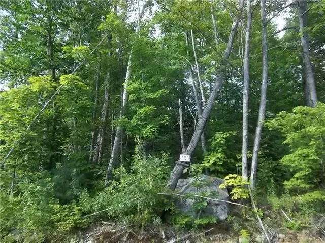 $35,000 | 9 Mooseley Ridge Road, Phillips, ME 04966