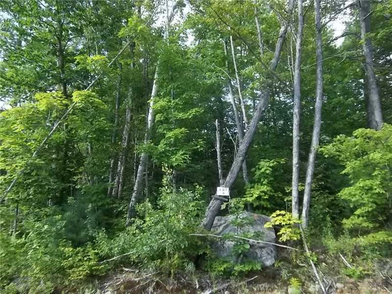 9 Mooseley Ridge Road Phillips, ME 04966 - Photo 5 of 10 Road Front on lot