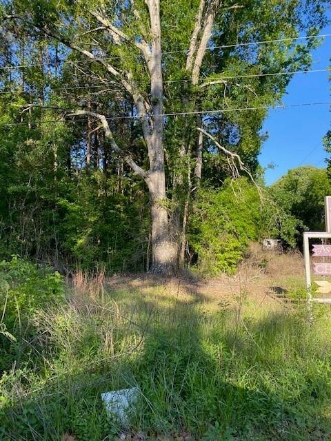 0 Crawford Loop Pollock, LA 71467 - Photo 2 of 3 Gallery Image 2