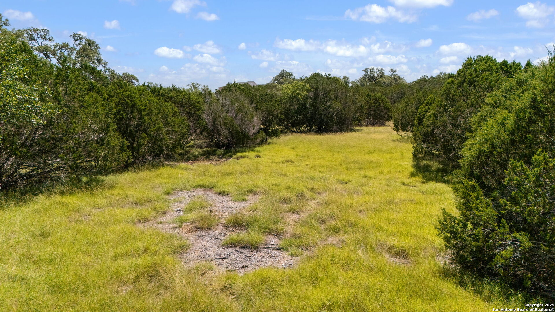 1005 Buckskin Trail Bandera, TX 78003 - Photo 12 of 27 a view of a large yard with swimming pool and mountain view