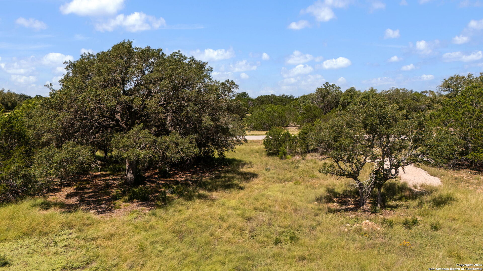 1005 Buckskin Trail Bandera, TX 78003 - Photo 13 of 27 a view of a yard with mountain view