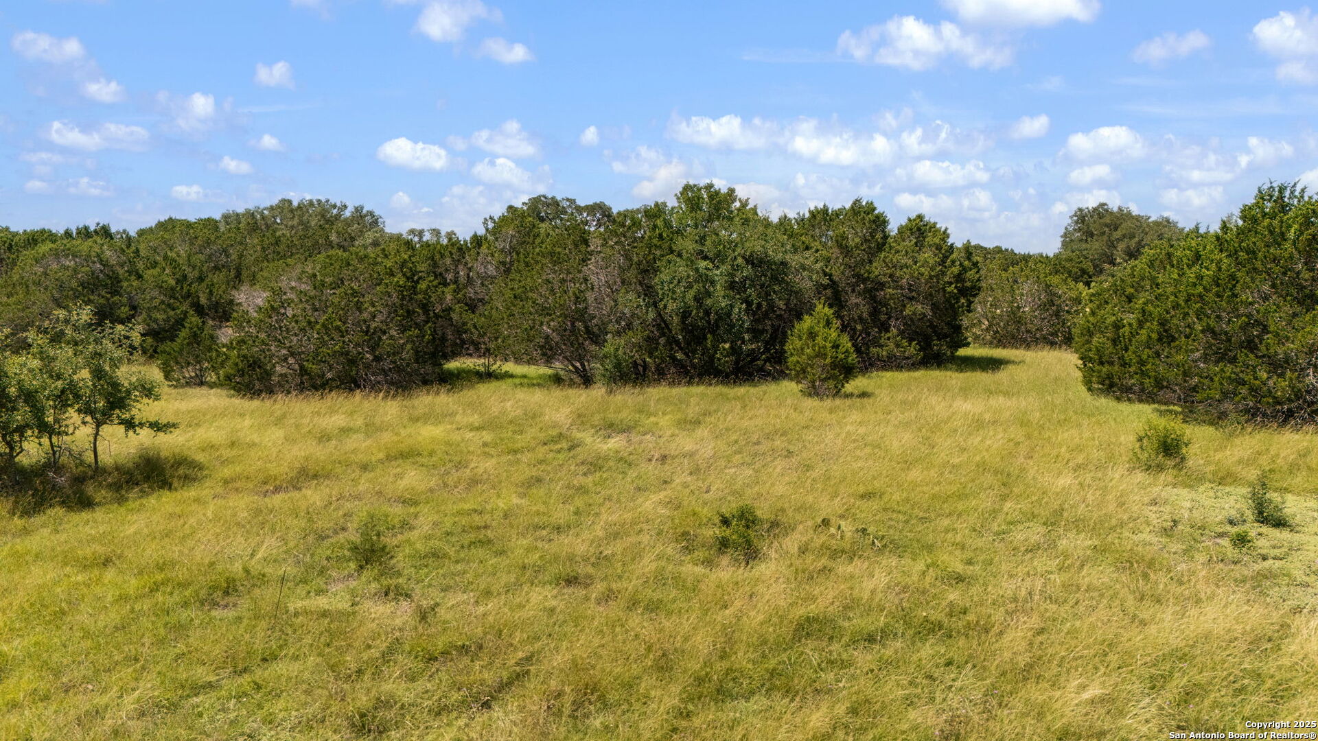 1005 Buckskin Trail Bandera, TX 78003 - Photo 14 of 27 a view of a yard with a tree