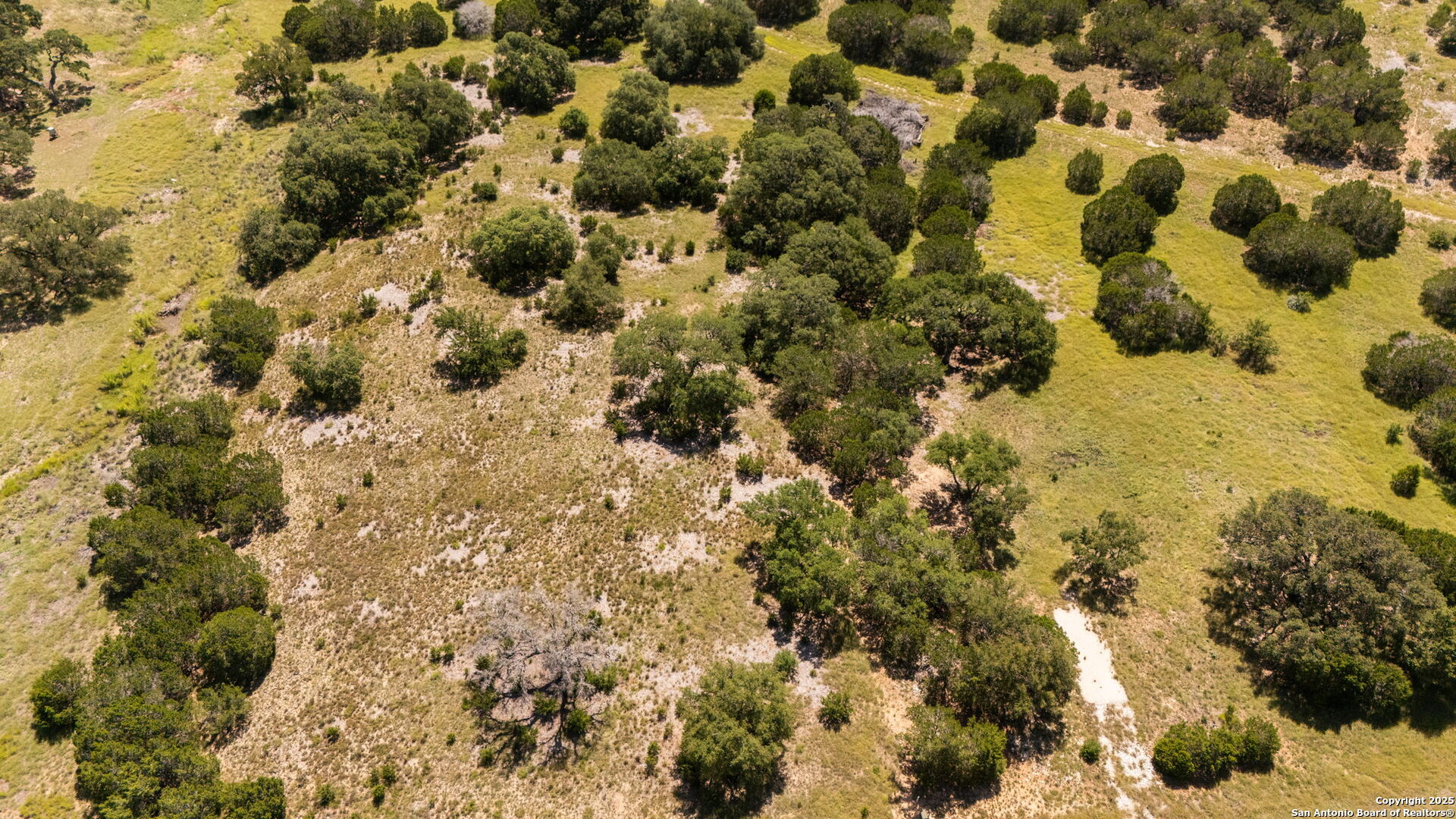 1005 Buckskin Trail Bandera, TX 78003 - Photo 15 of 27 a view of a bunch of trees