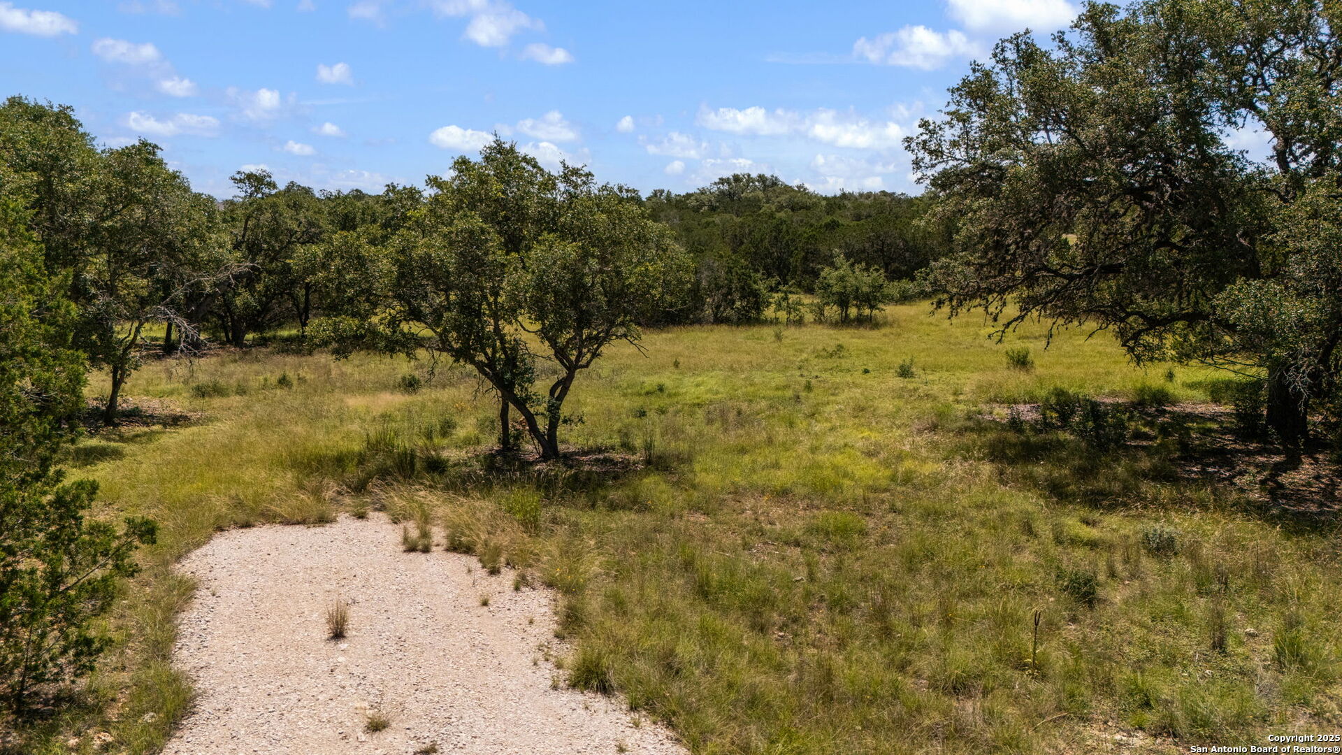 1005 Buckskin Trail Bandera, TX 78003 - Photo 2 of 27 a view of a yard with a tree