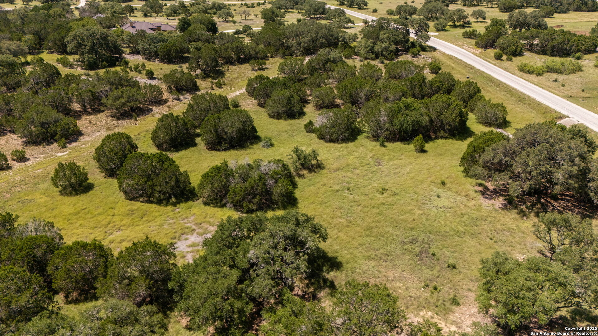 1005 Buckskin Trail Bandera, TX 78003 - Photo 10 of 27 a view of a yard with plants and large trees