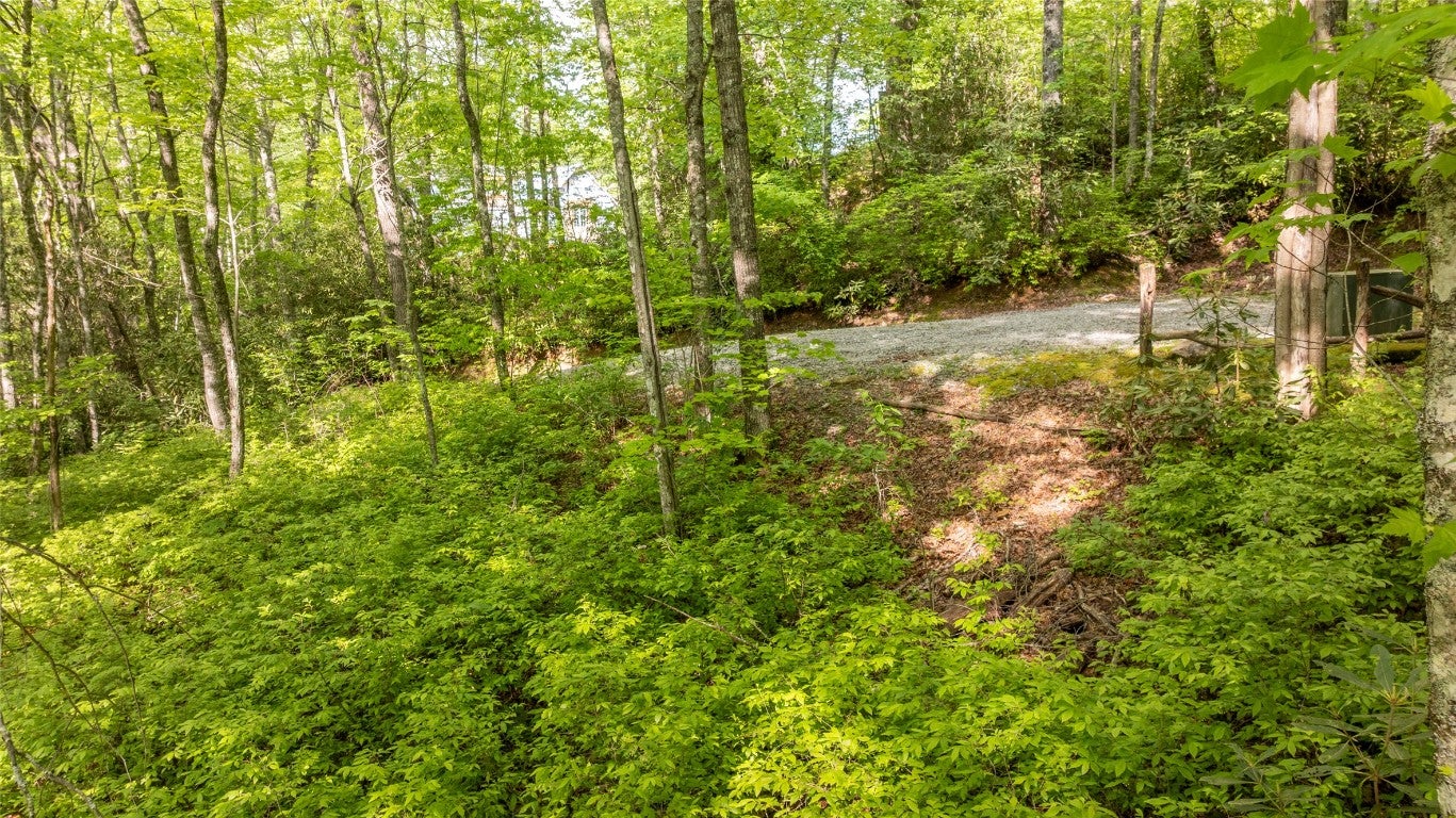 5 Power Line Road Glenville, NC 28736 - Photo 7 of 17 Gallery Image 7