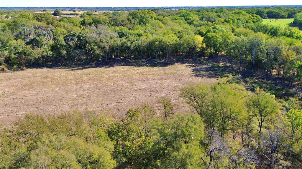 0 Bee Creek Road Maypearl, TX 76064 - Photo 19 of 39