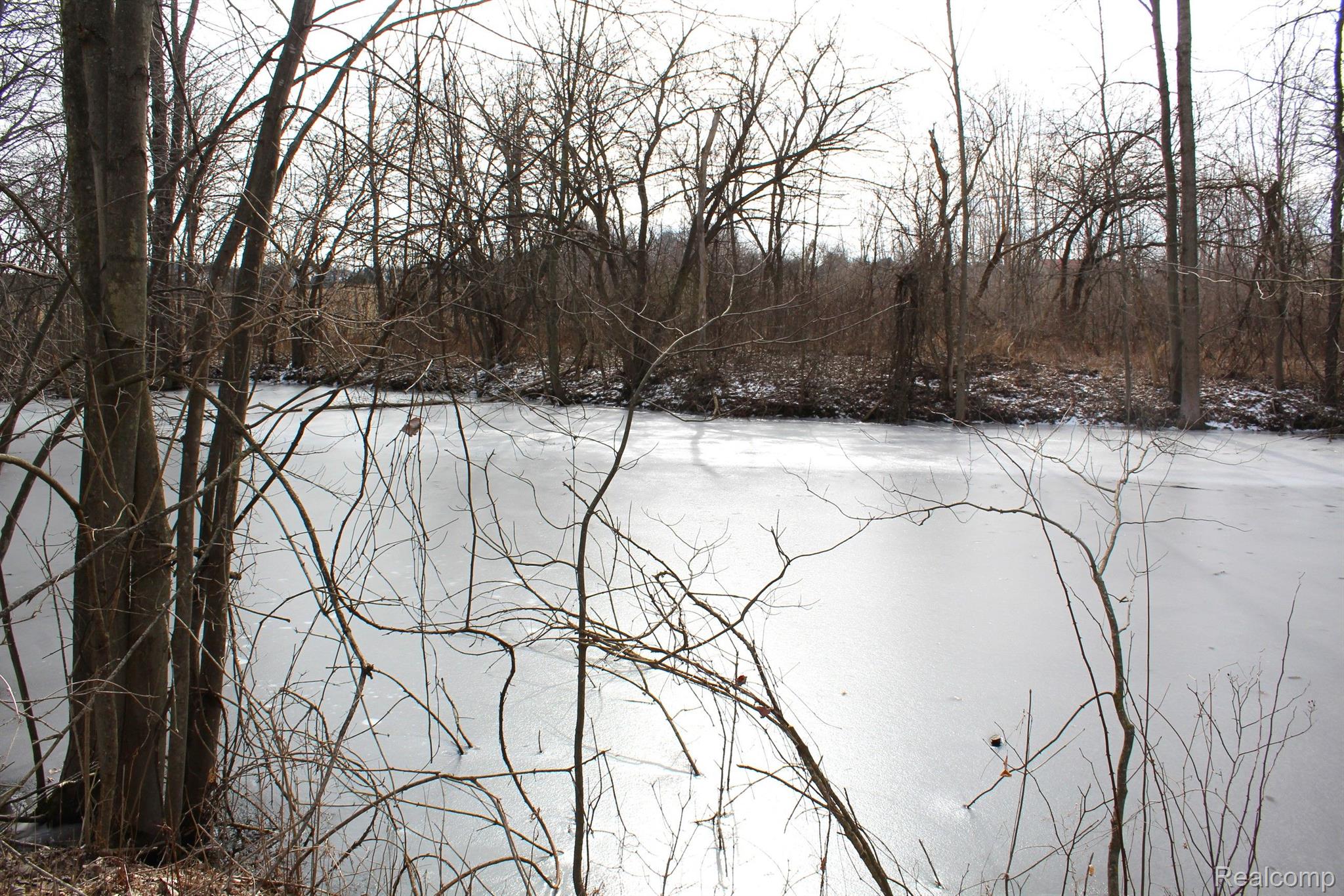 2550 Ducker Road North Branch, MI 48461 - Photo 49 of 64 Gallery Image 49