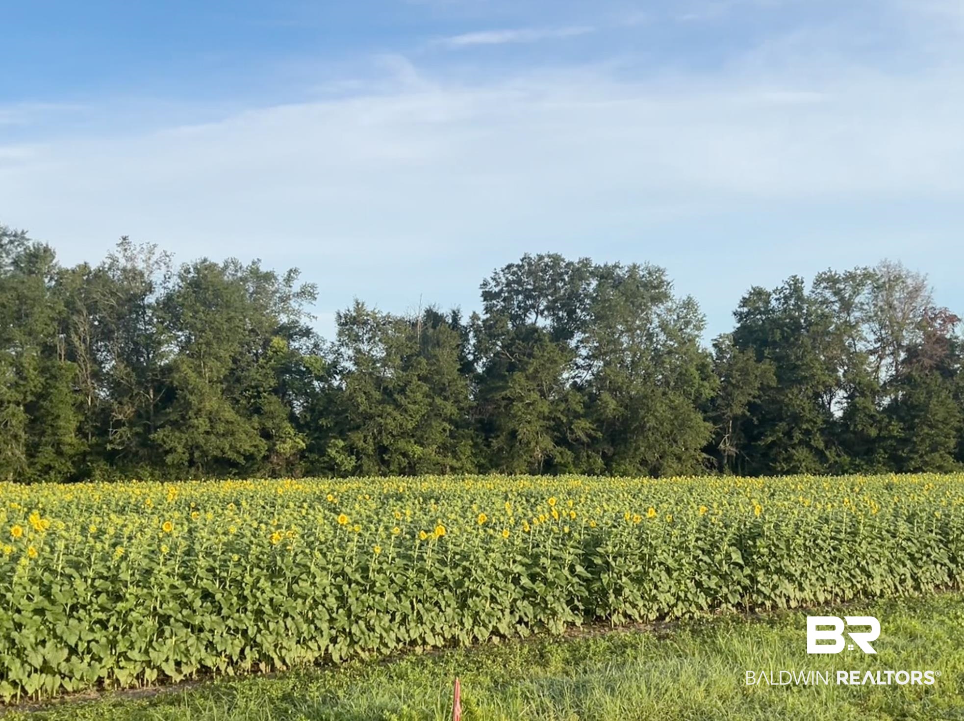 0 Paul Cleverdon Road Summerdale, AL 36580 - Photo 10 of 10 View of undeveloped land featuring farmland and rural landscape