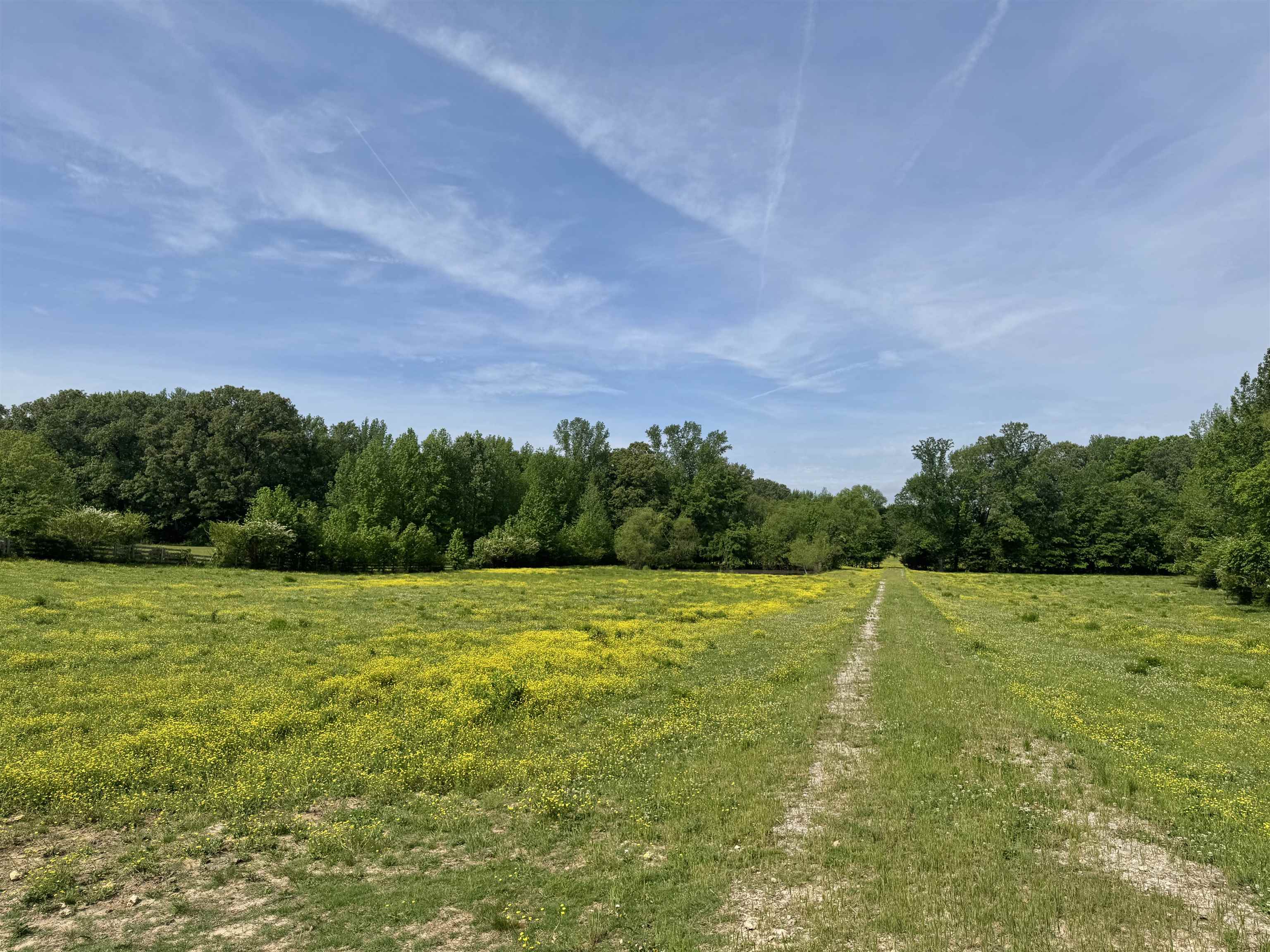 270 Country Club Road Somerville, TN 38068 - Photo 1 of 22 Exterior space featuring a view of trees and a rural view