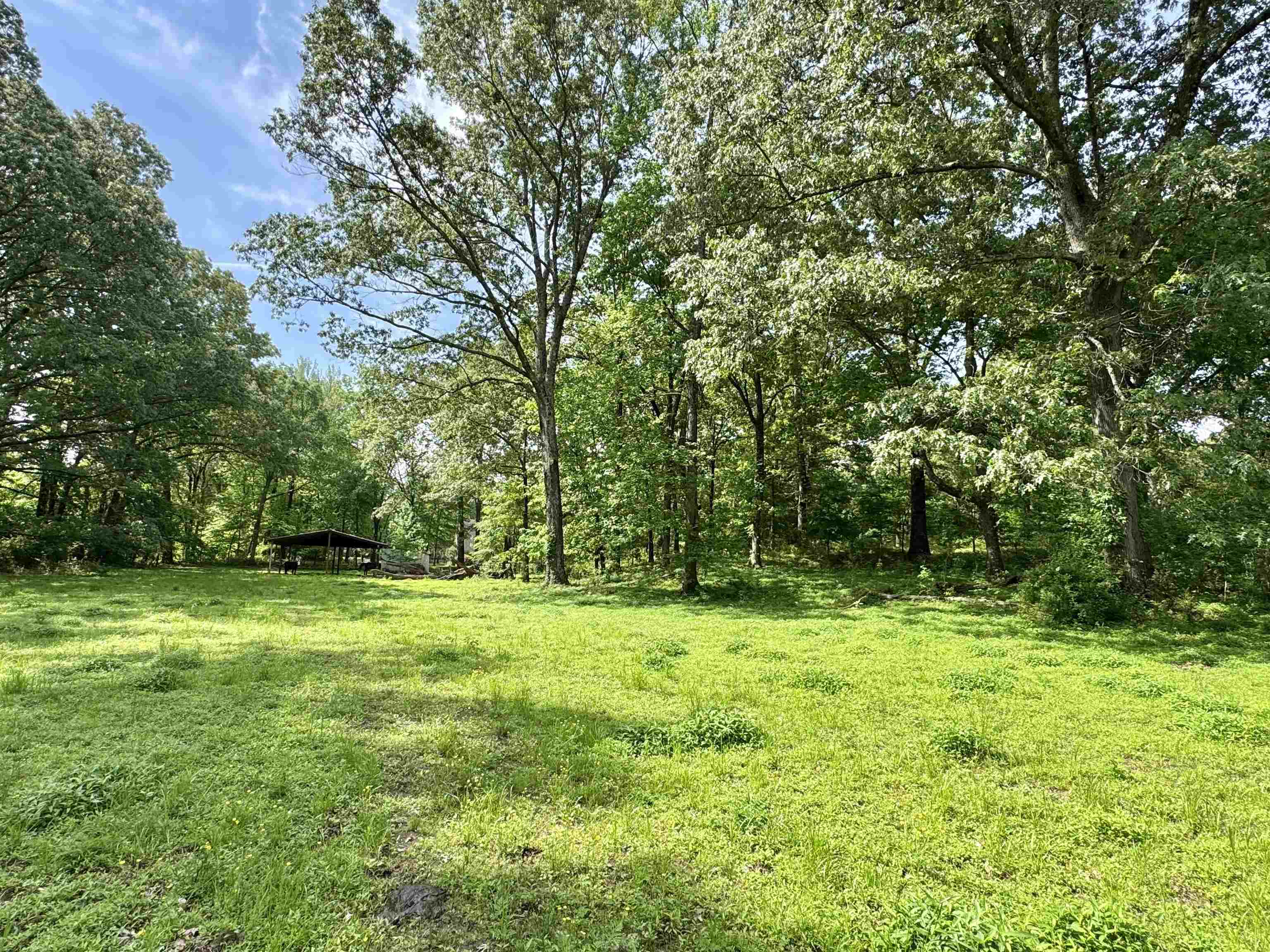 270 Country Club Road Somerville, TN 38068 - Photo 13 of 22 View of yard