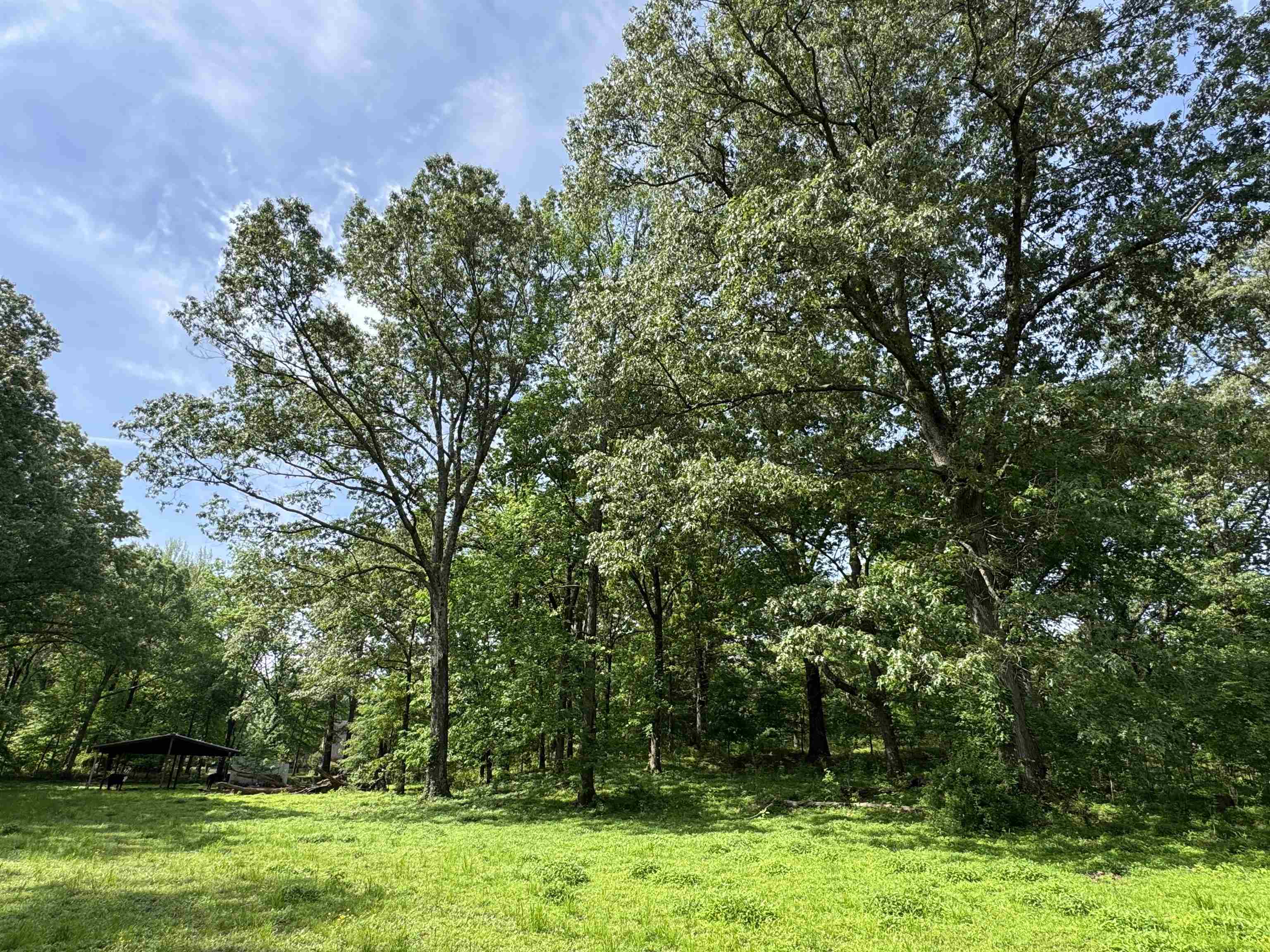 270 Country Club Road Somerville, TN 38068 - Photo 14 of 22 View of nature