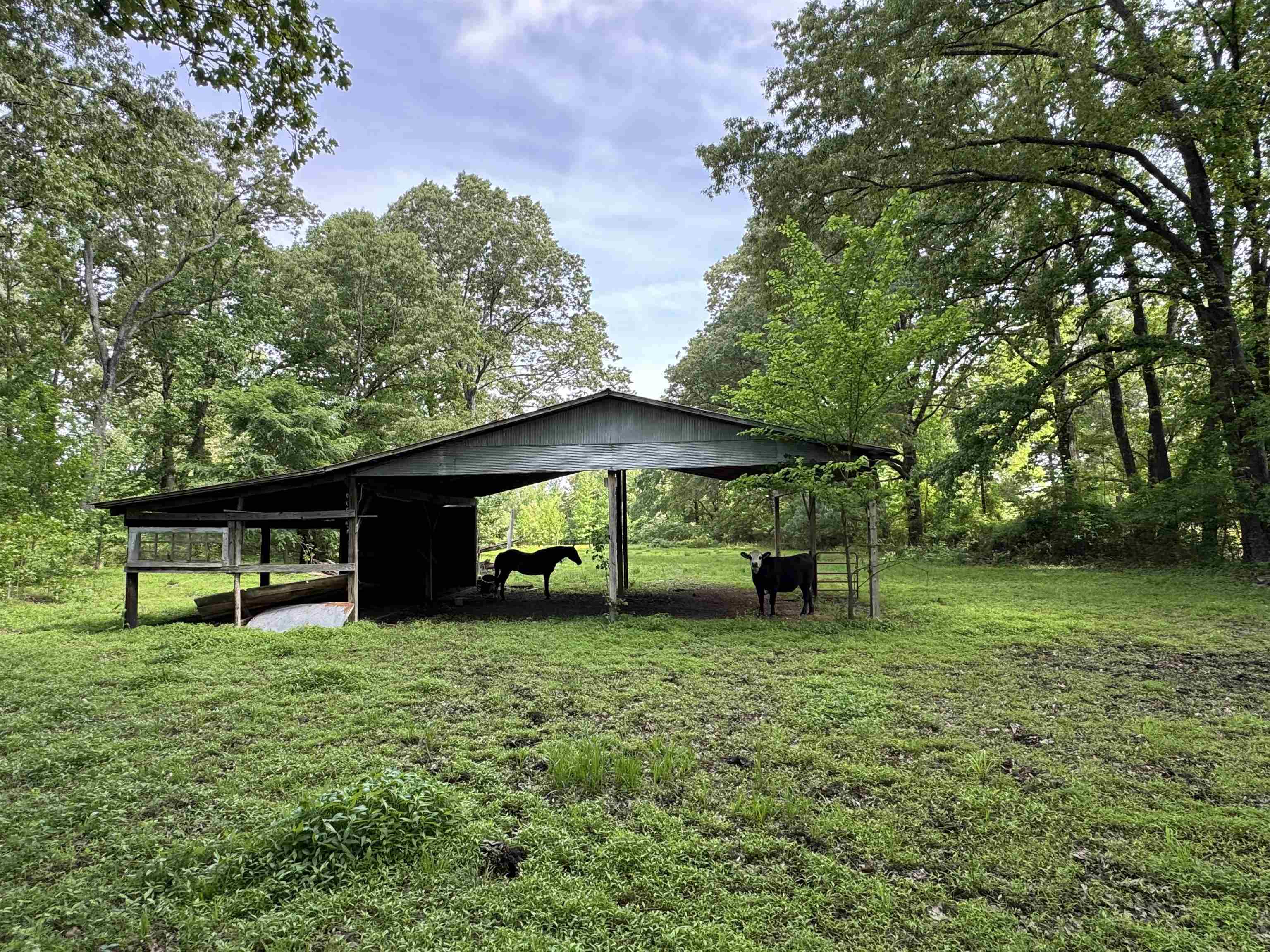 270 Country Club Road Somerville, TN 38068 - Photo 15 of 22 View of yard featuring a carport