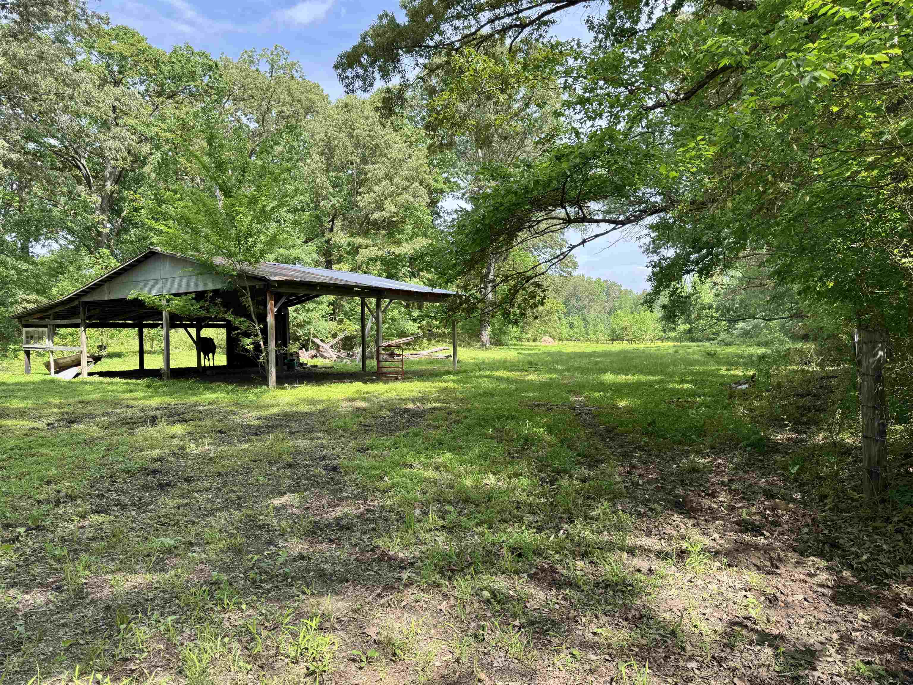 270 Country Club Road Somerville, TN 38068 - Photo 16 of 22 View of home's community