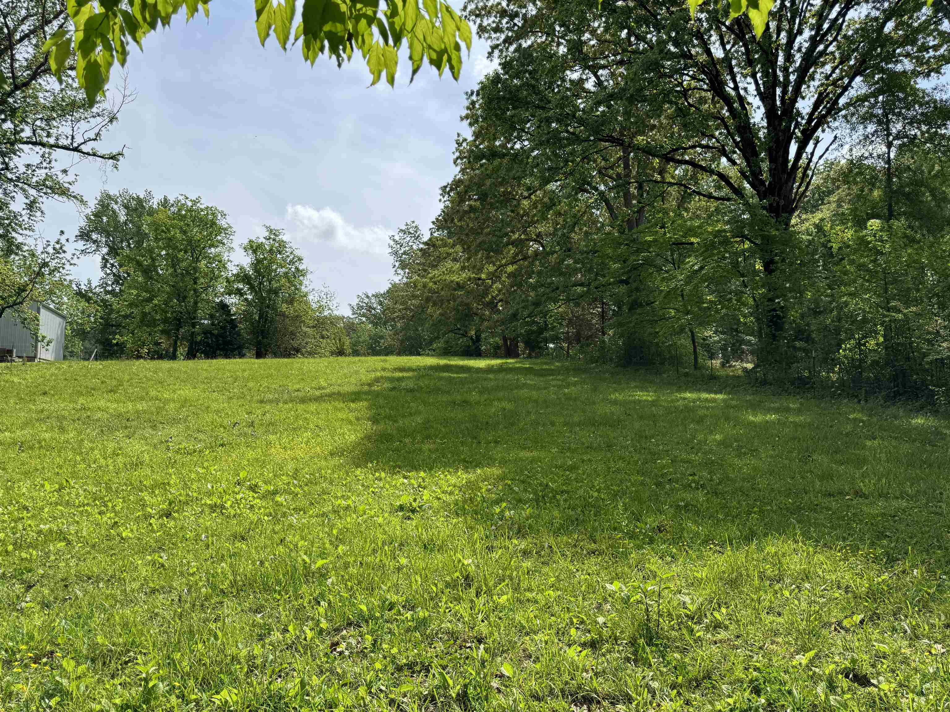 270 Country Club Road Somerville, TN 38068 - Photo 17 of 22 View of yard