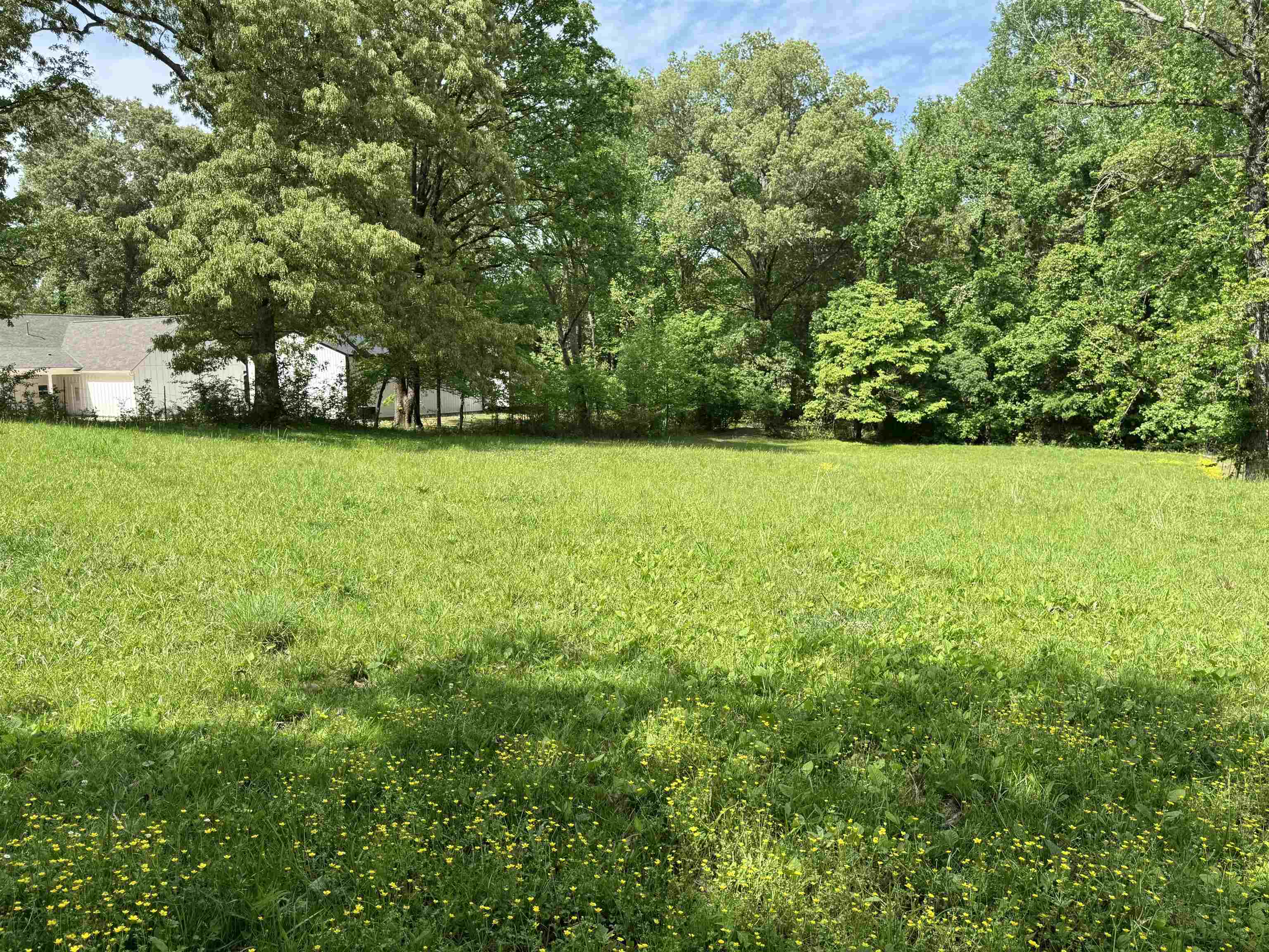 270 Country Club Road Somerville, TN 38068 - Photo 18 of 22 View of yard