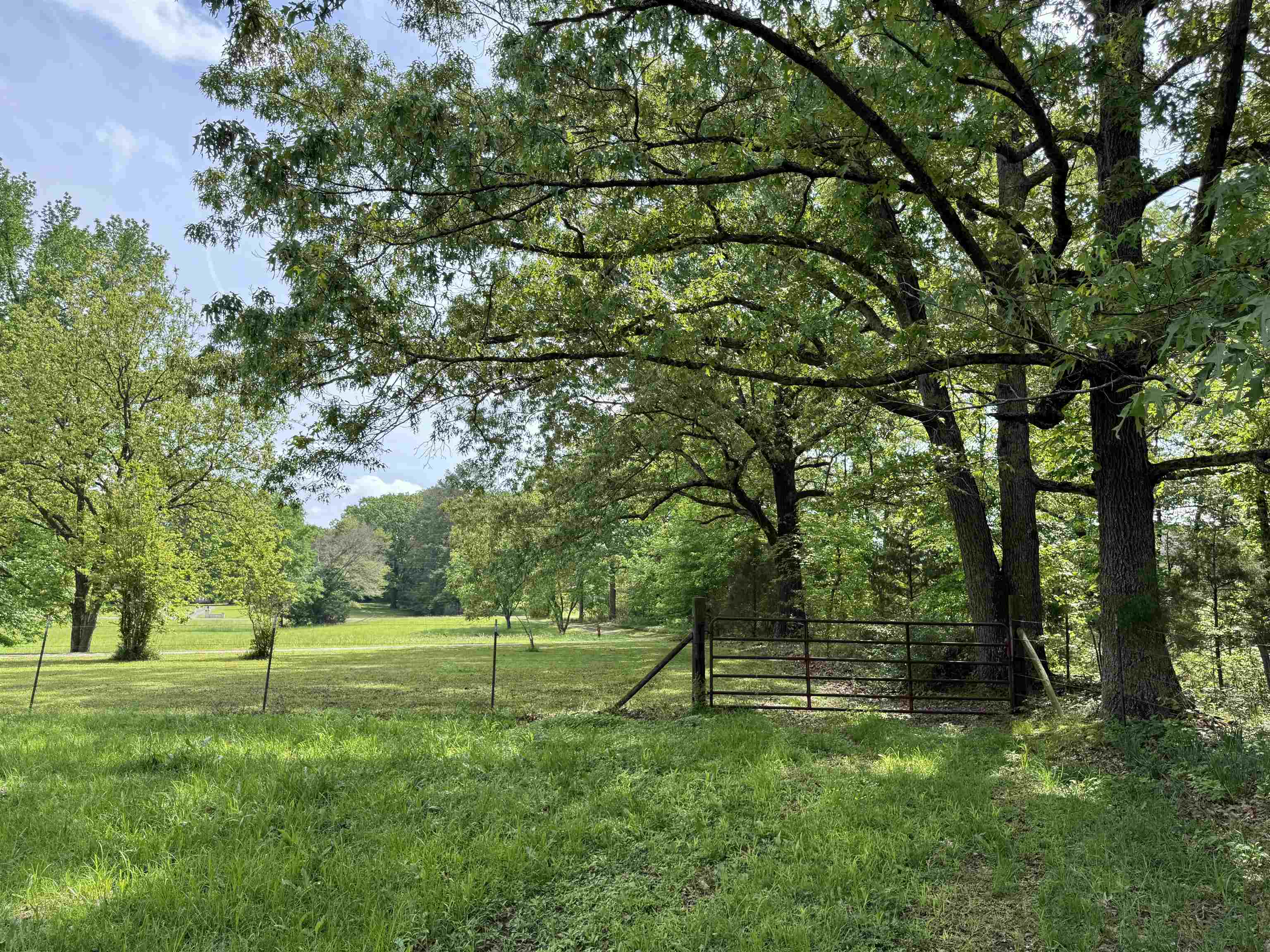 270 Country Club Road Somerville, TN 38068 - Photo 19 of 22 View of yard featuring a forest view