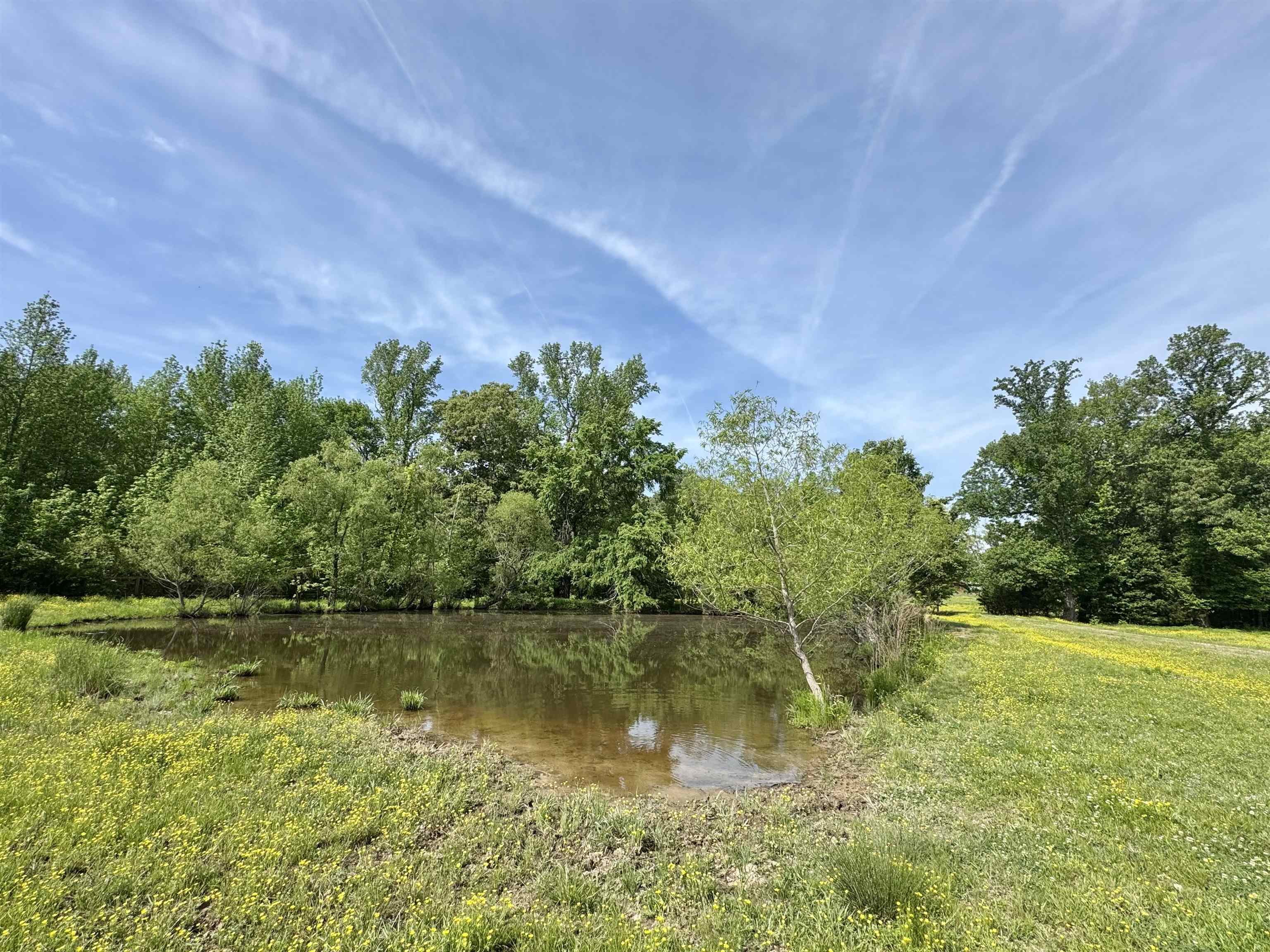 270 Country Club Road Somerville, TN 38068 - Photo 2 of 22 View of water feature with a view of trees
