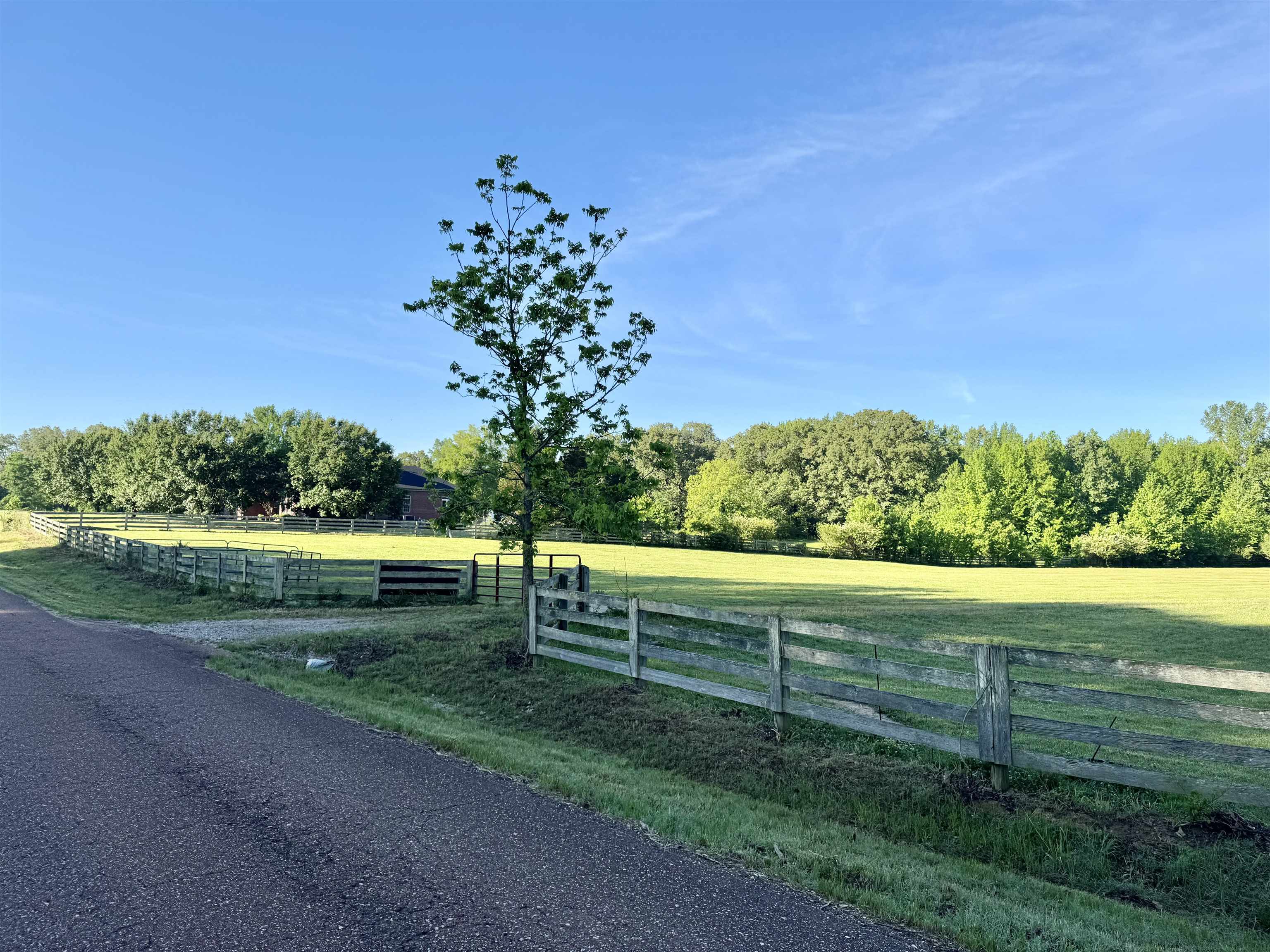 270 Country Club Road Somerville, TN 38068 - Photo 22 of 22 View of road featuring a rural view
