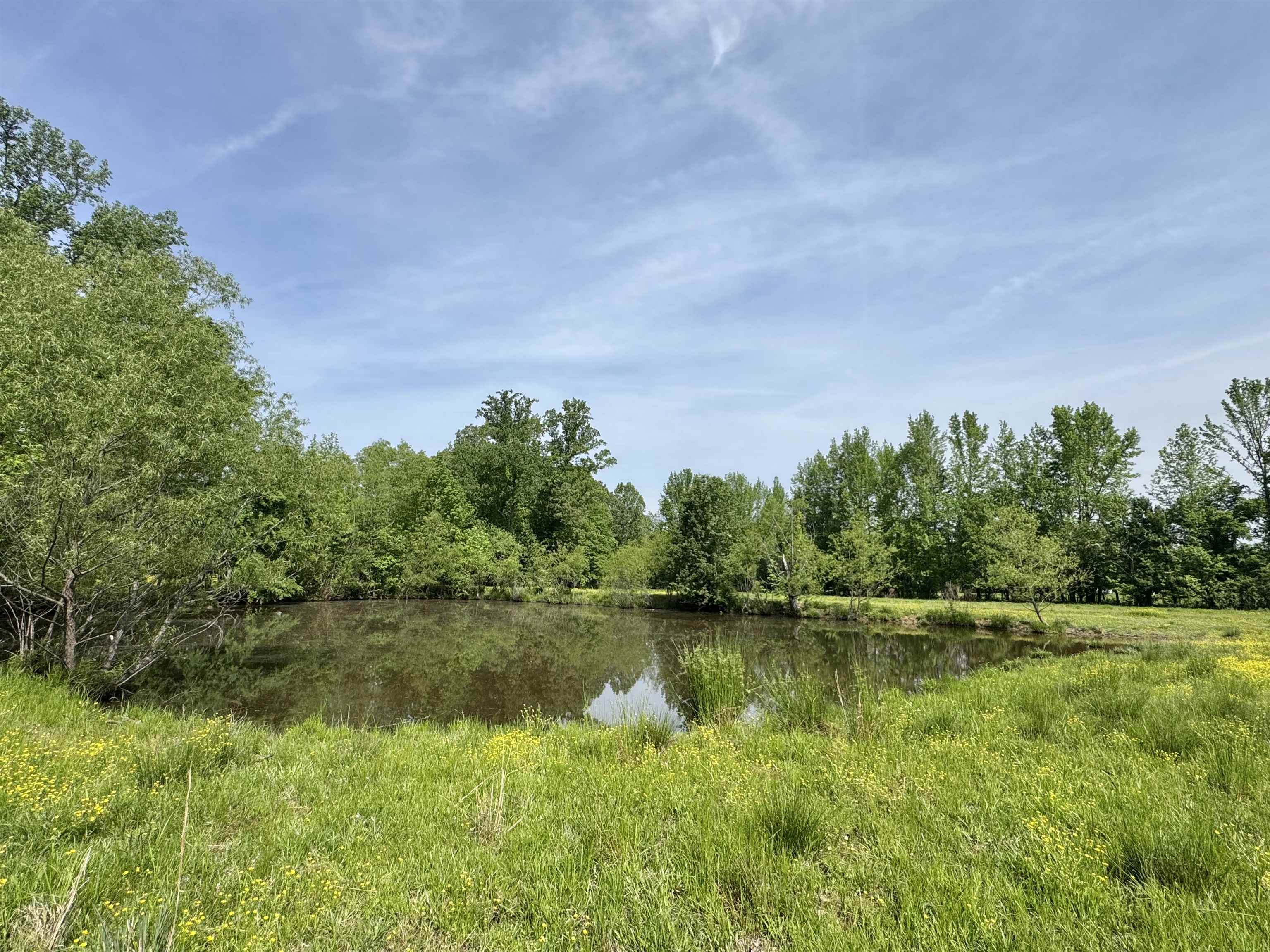 270 Country Club Road Somerville, TN 38068 - Photo 3 of 22 View of water feature featuring a view of trees
