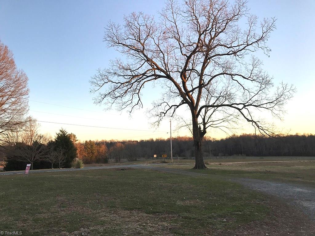 429 Hege Road Lexington, NC 27295 - Photo 27 of 29 Pecan tree at the front entrance to property is one of many mature, producing walnut and pecan trees on the property.