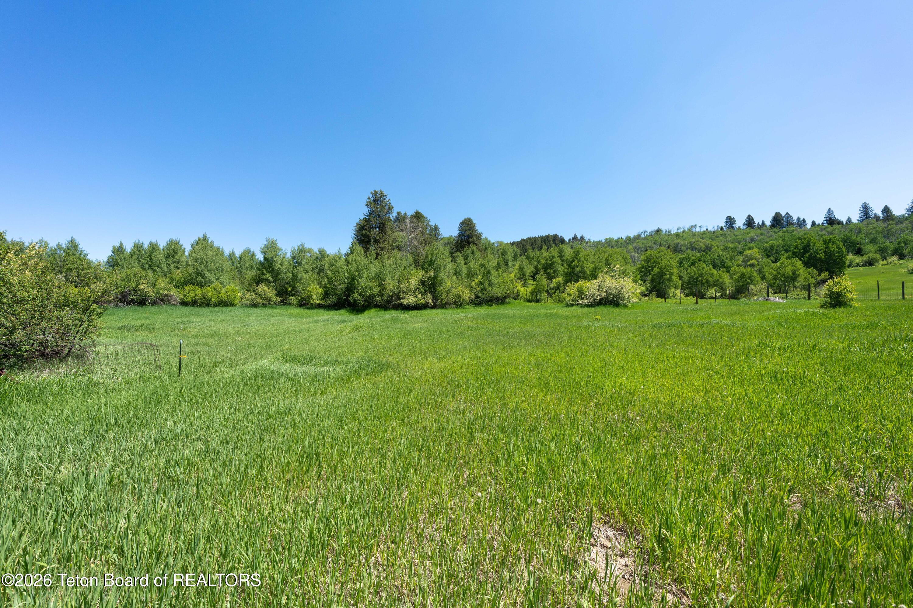 1-2 Lever Springs Road Alpine, WY 83128 - Photo 22 of 89 LeverSpring_JGPhoto-14