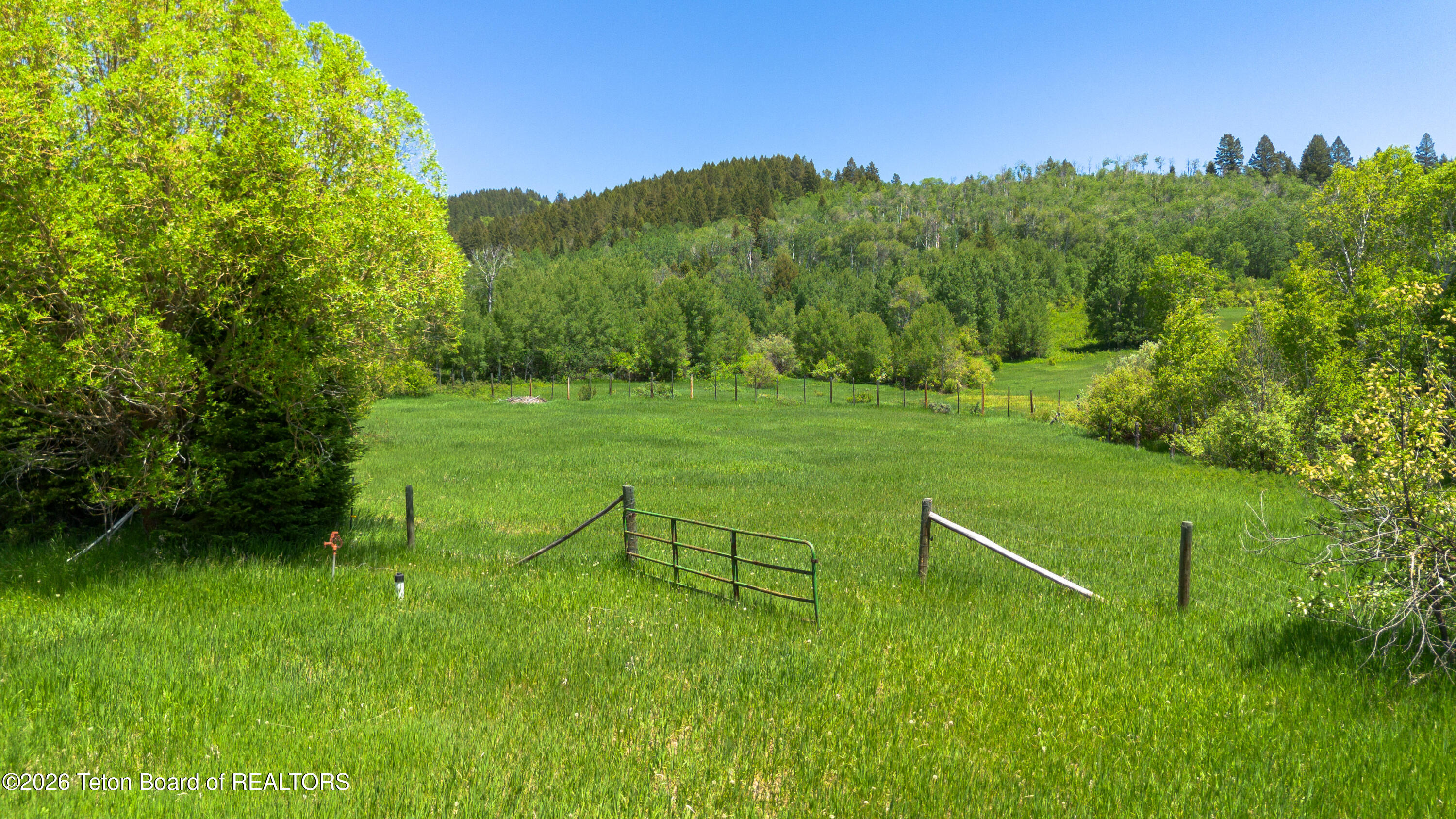 1-2 Lever Springs Road Alpine, WY 83128 - Photo 85 of 89 LeverSpring_JGPhoto-89