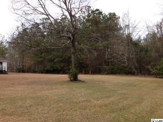 235 Mcnab Shortcut Road Loris, SC 29569 - Photo 5 of 6 Gallery Image 5