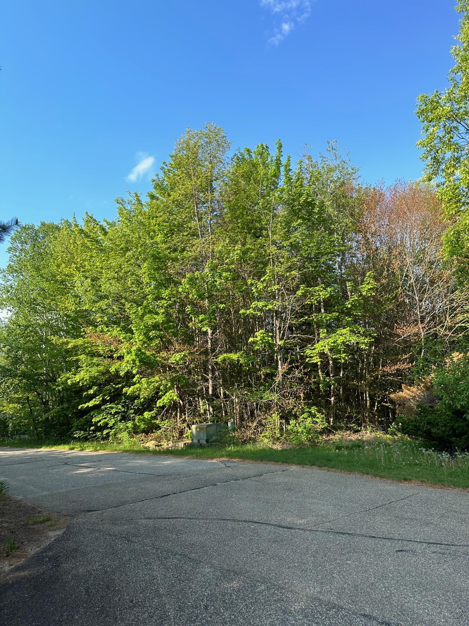7 Rey Lane Waterville Valley, NH 03215 - Photo 3 of 7 Gallery Image 3