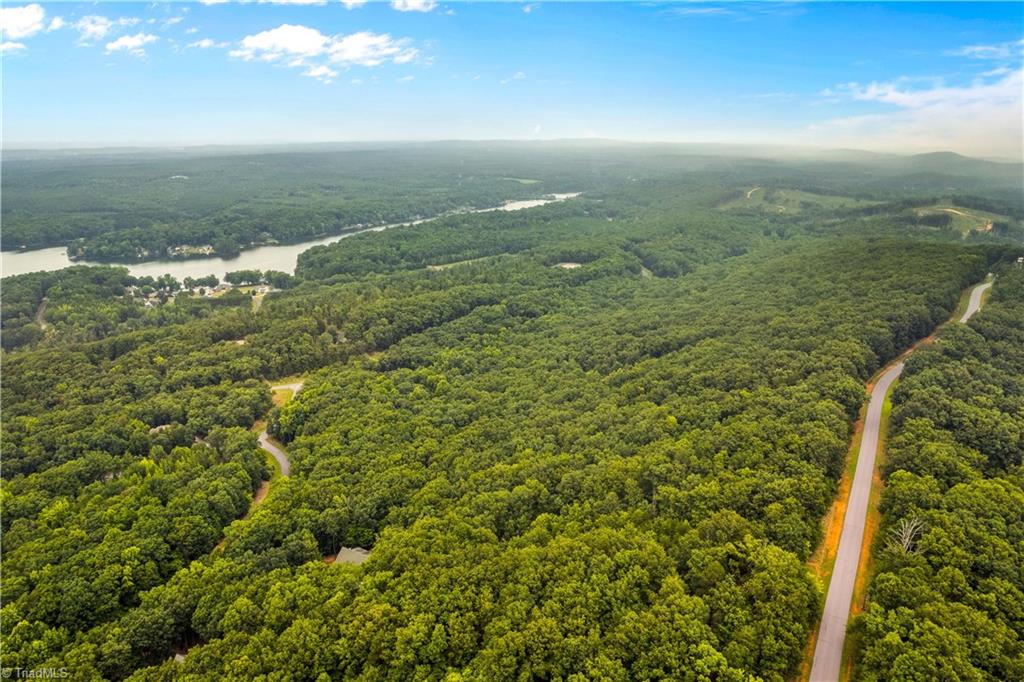 2261 Sierra Trace Road Denton, NC 27239 - Photo 10 of 24