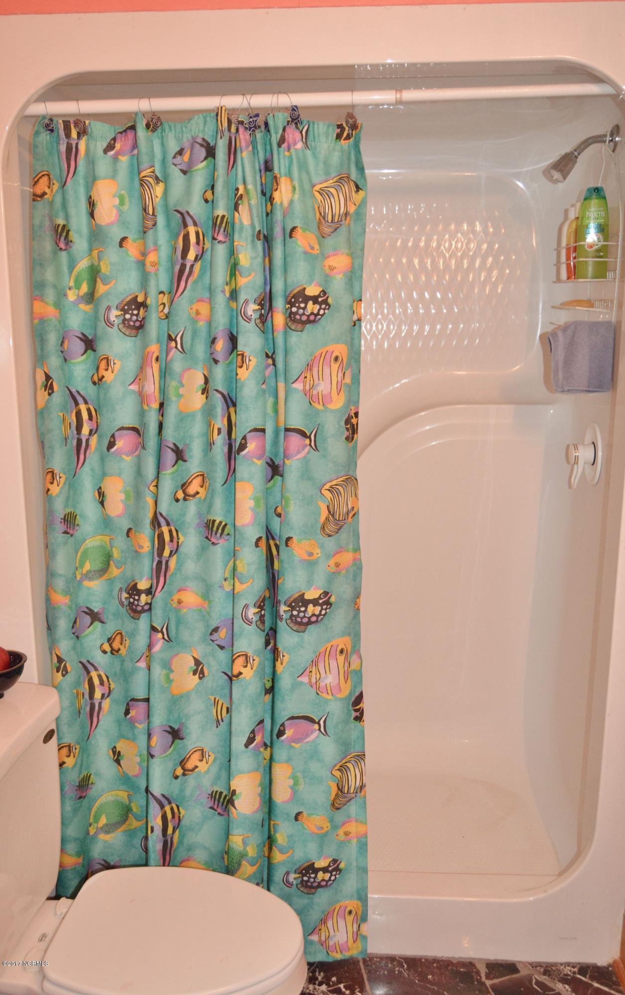 4694 Tuckahoe Road Ivanhoe, NC 28447 - Photo 45 of 62 bath 2 shower