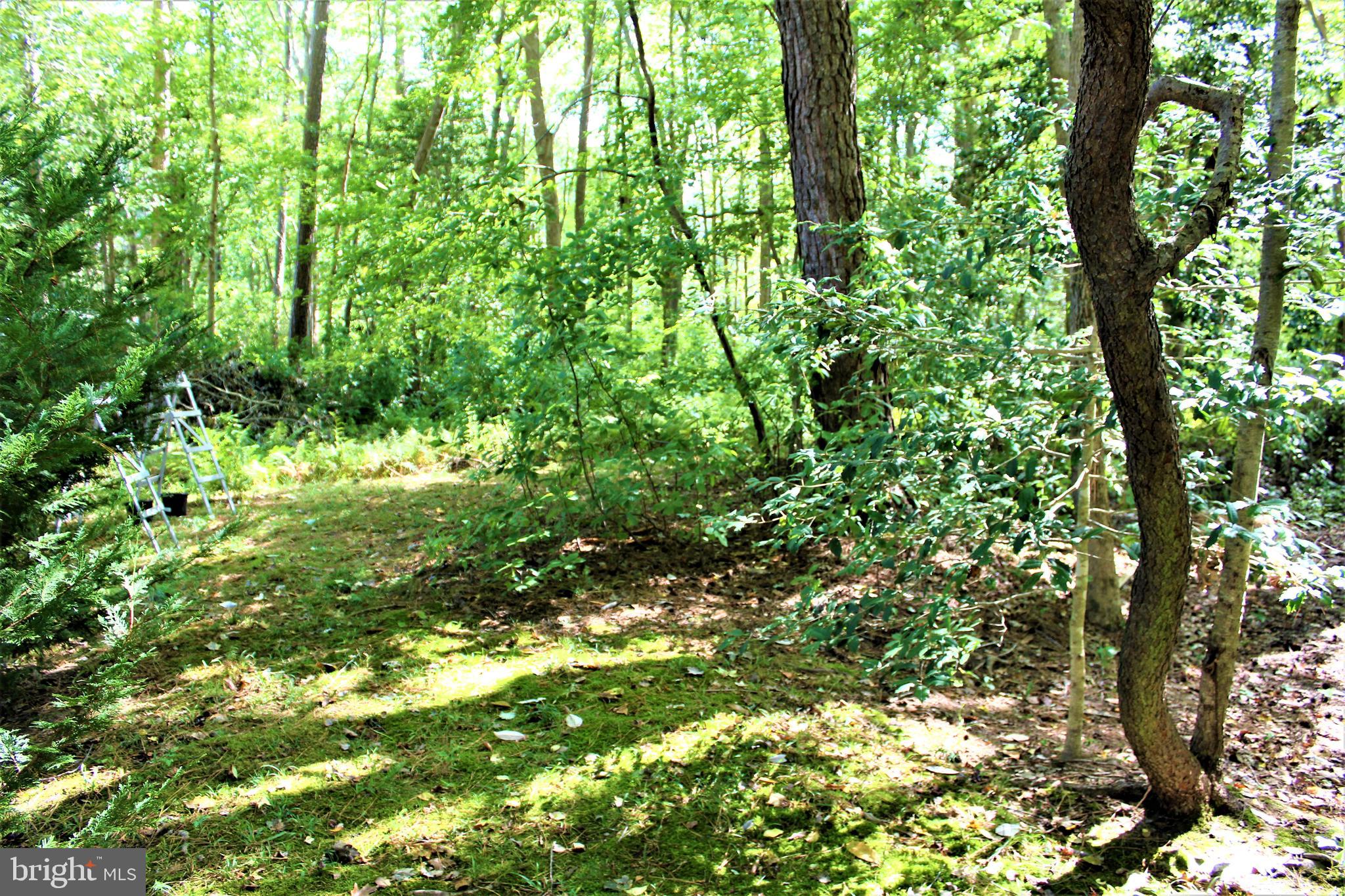 14 Gloucester Road Ocean Pines, MD 21811 - Photo 30 of 35 Back yard