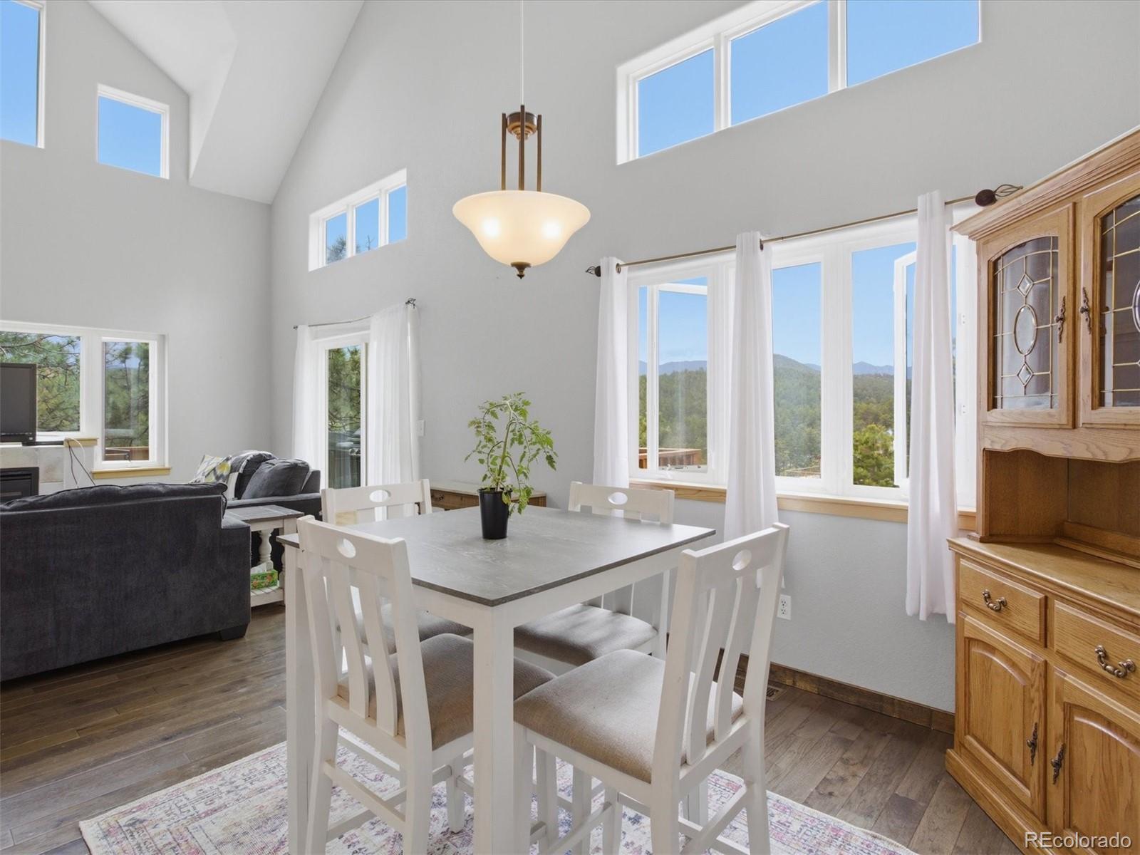 117 Spruce Trail Bailey, CO 80421 - Photo 7 of 47