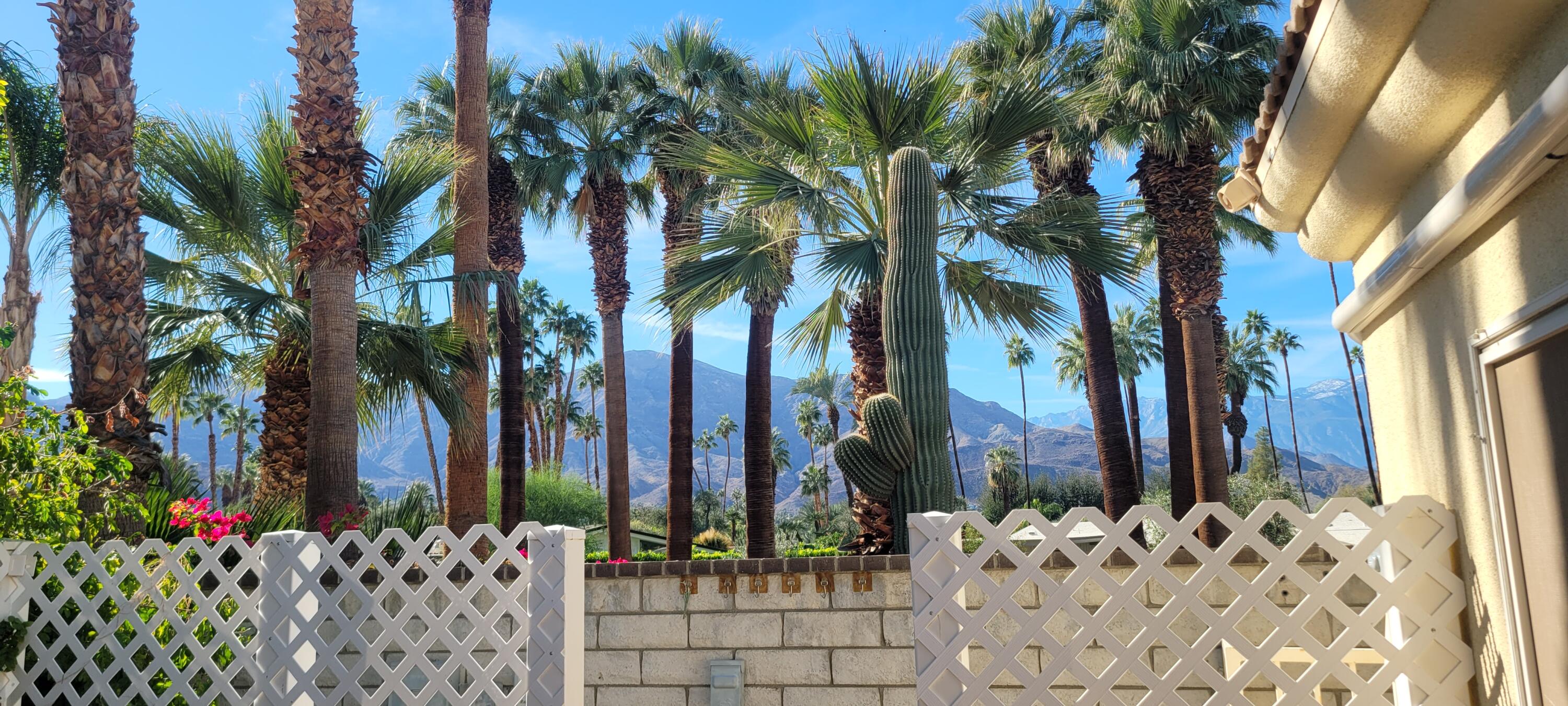 39914 Morningsprings Road Rancho Mirage, CA 92270 - Photo 16 of 54 a couple of palm trees sitting in front of a house