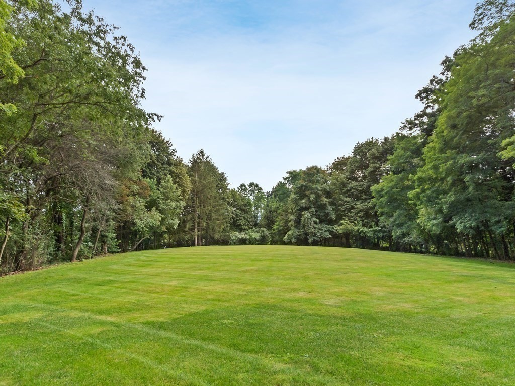 76 Ober Road, Unit 76 Newton, MA 02459 - Photo 28 of 32 a view of a field with trees in the background