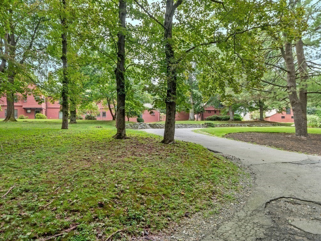 76 Ober Road, Unit 76 Newton, MA 02459 - Photo 30 of 32 a view of a park with large trees