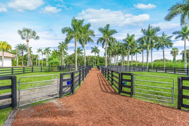 a view of park with kids park