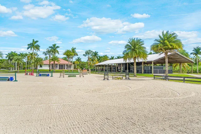 a view of a garden with a bench in front of it