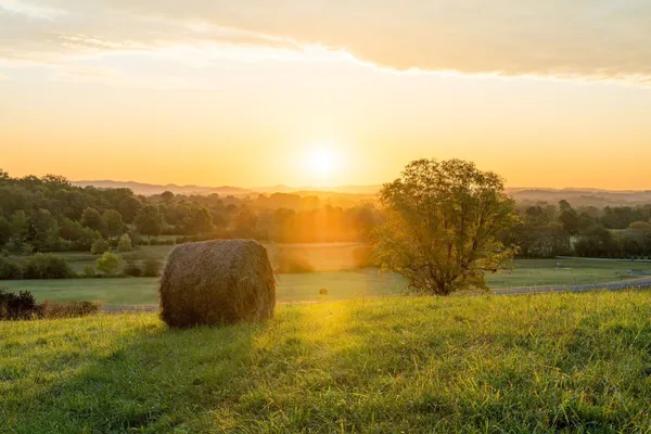 $2,750,000 | 2029 Vista Creek Lane, Franklin, TN 37064