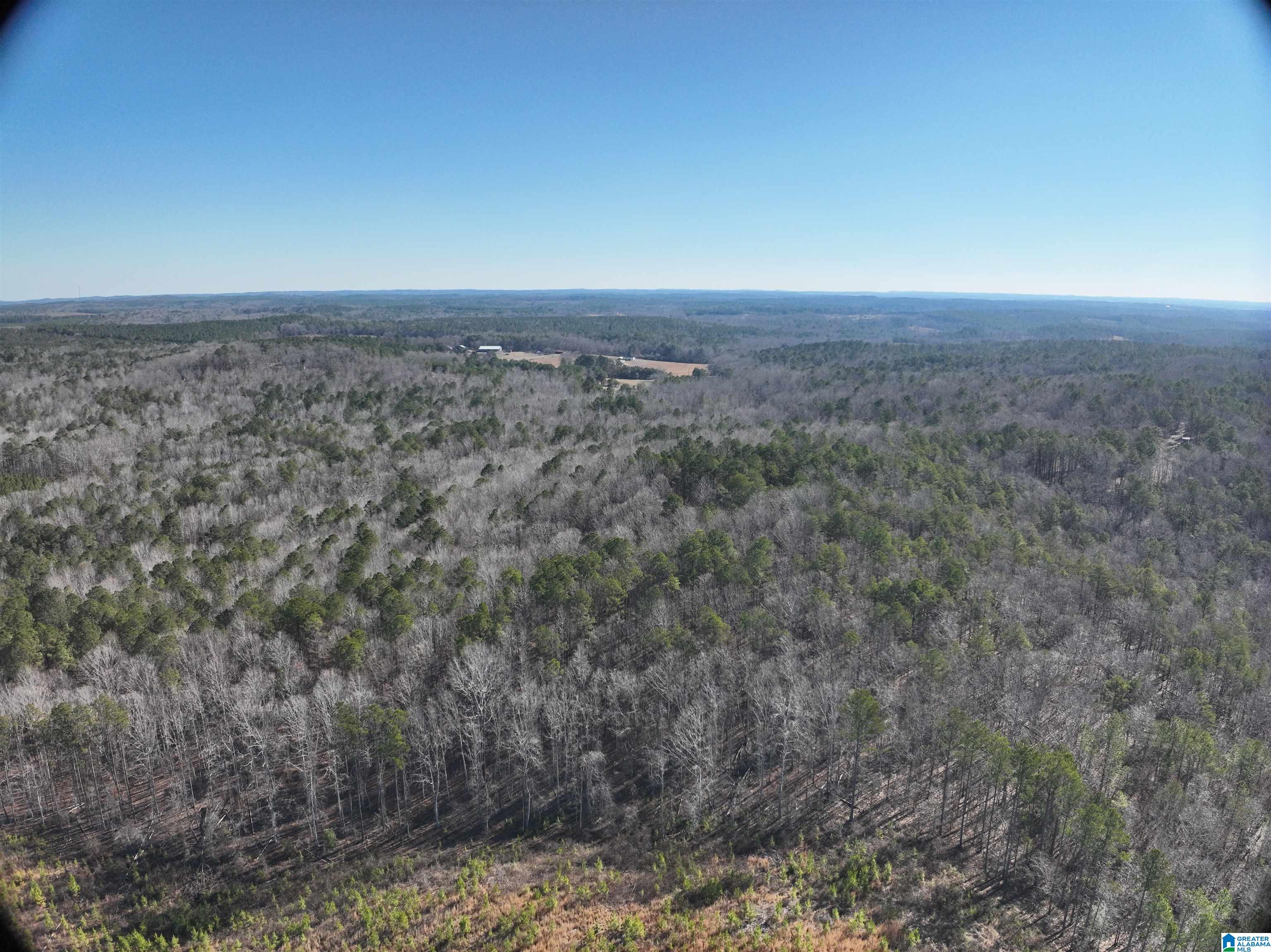 6171 Highway 102, Unit 1 Fayette, AL 35555 - Photo 24 of 68