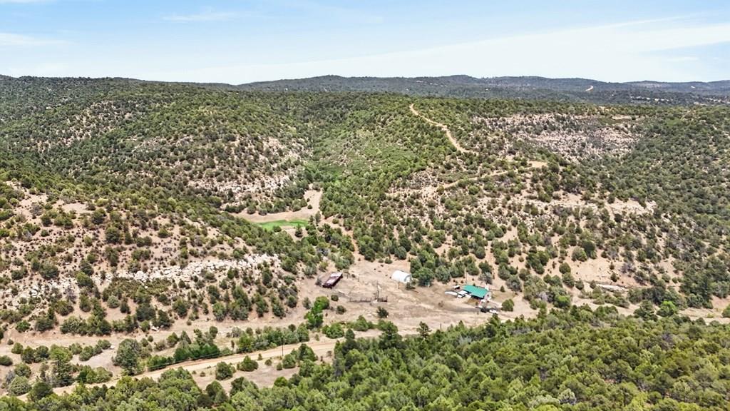 17001 Peacock Road Trinidad, CO 81082 - Photo 29 of 62