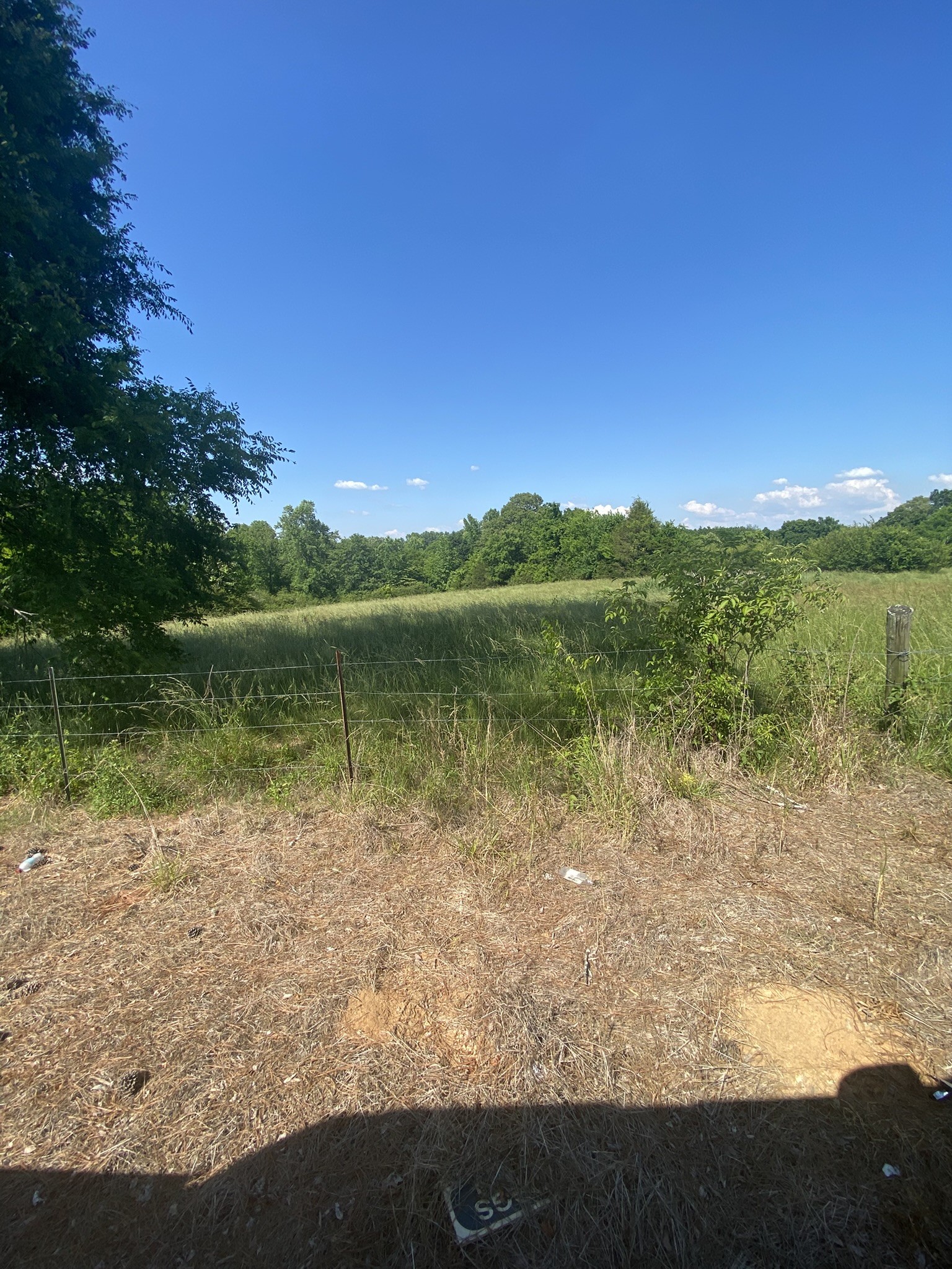 656 County Road Anderson, AL 35610 - Photo 5 of 15 a view of lake with green space