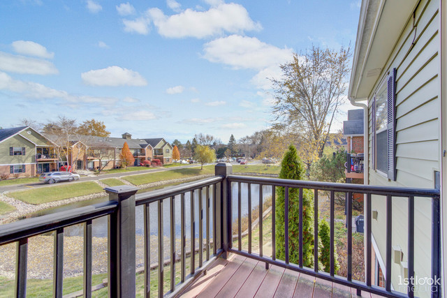 1348 McDowell Road, Unit 201 Naperville, IL 60563 - Photo 19 of 20