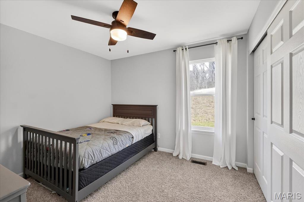 5380 Shawnee View Court Eureka, MO 63025 - Photo 31 of 42