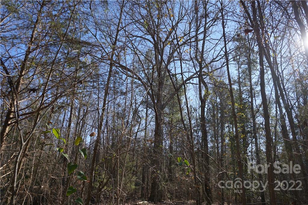 12.5-ac Simpson Road Edgemoor, SC 29712 - Photo 8 of 11 Gallery Image 8