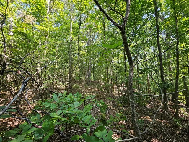 $1,070,820 | 4255 South Henderson Tx 75654, Henderson, TX 75654