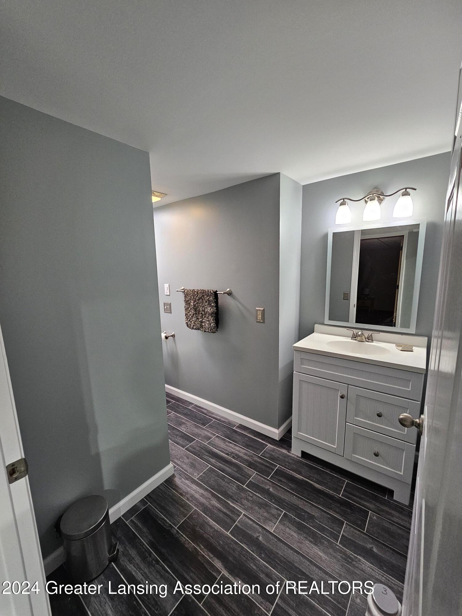 914 Morton Road Grand Ledge, MI 48837 - Photo 32 of 48 Lower level full bath
