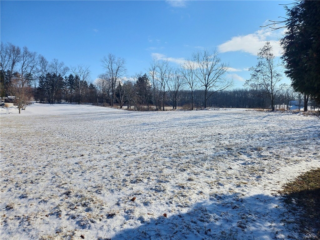 300 Cayuga Street Springport, NY 13160 - Photo 6 of 48