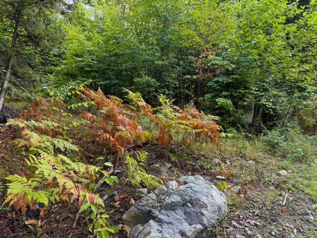 $57,500 | Lot 8-9 Moores Road, Springfield, ME 04487